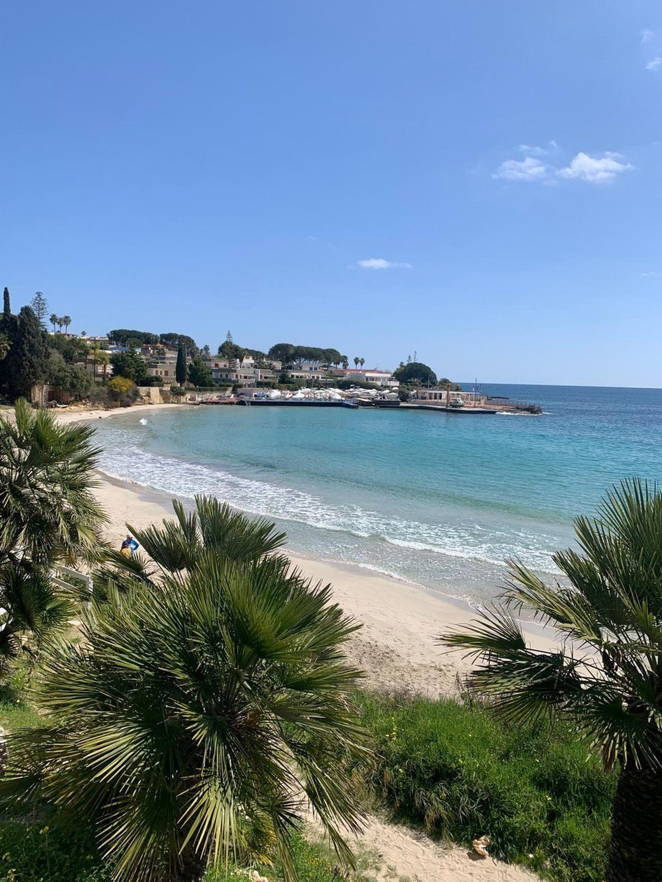 Sandy cove and turquoise water lined with palms - Sicily - Italy