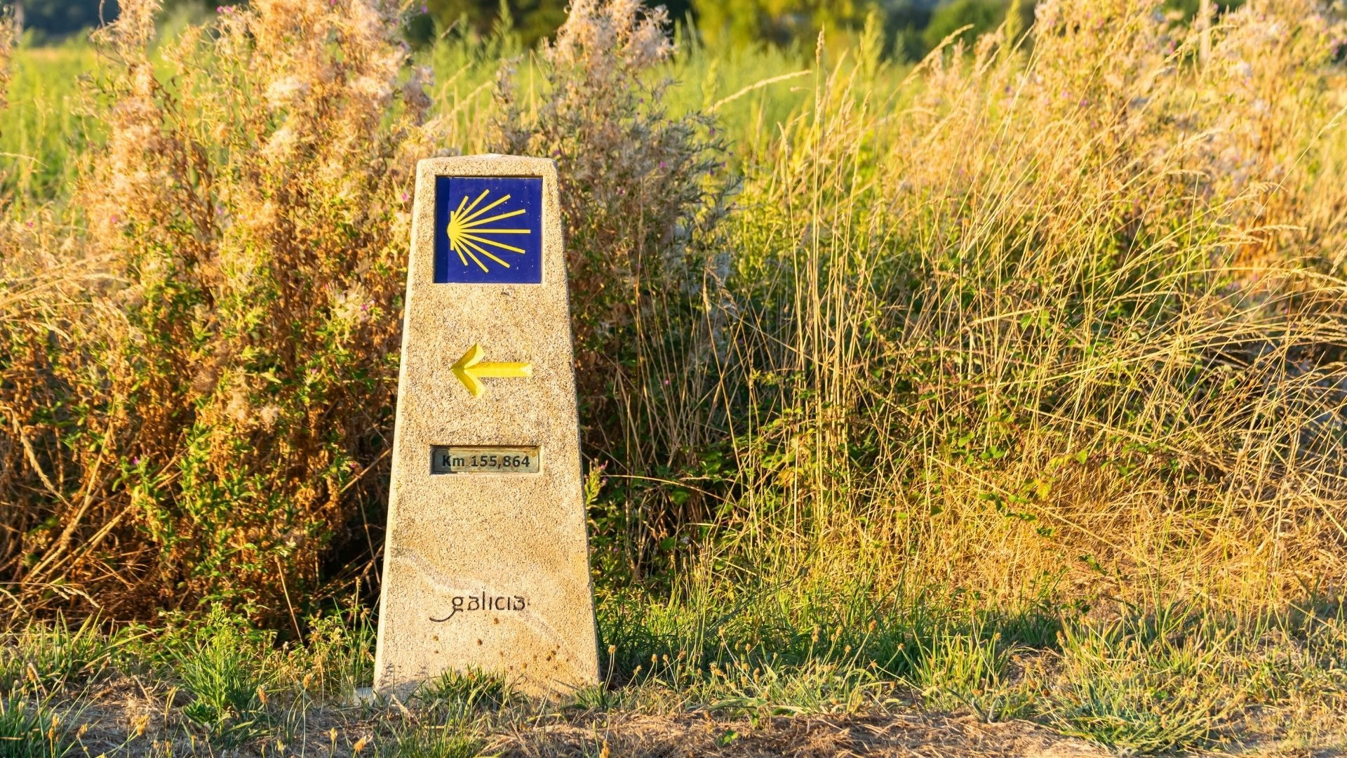 why walk Camino de Santiago introduction image Saint James