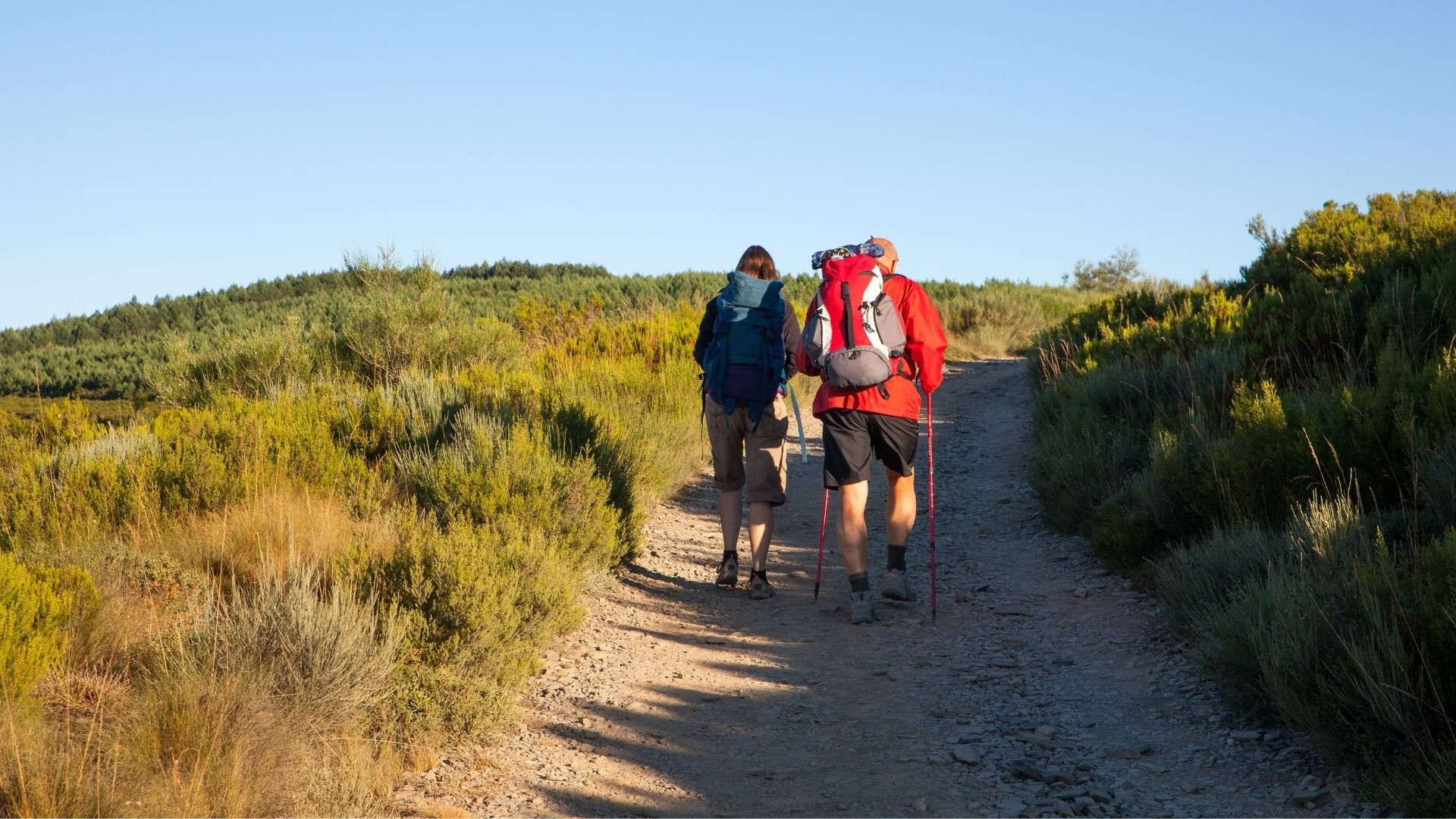 why walk Camino de Santiago a quest for meaning and disconnection