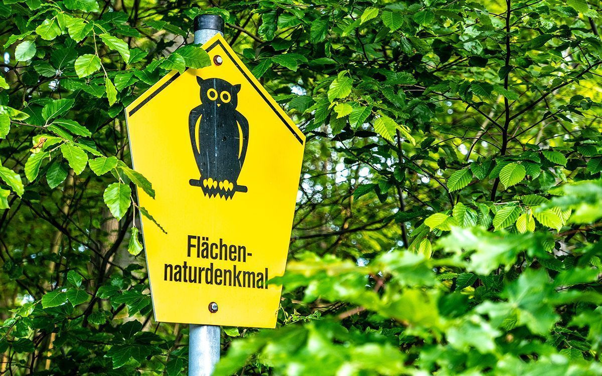 Espace naturel protégé près de Freiberg, Allemagne