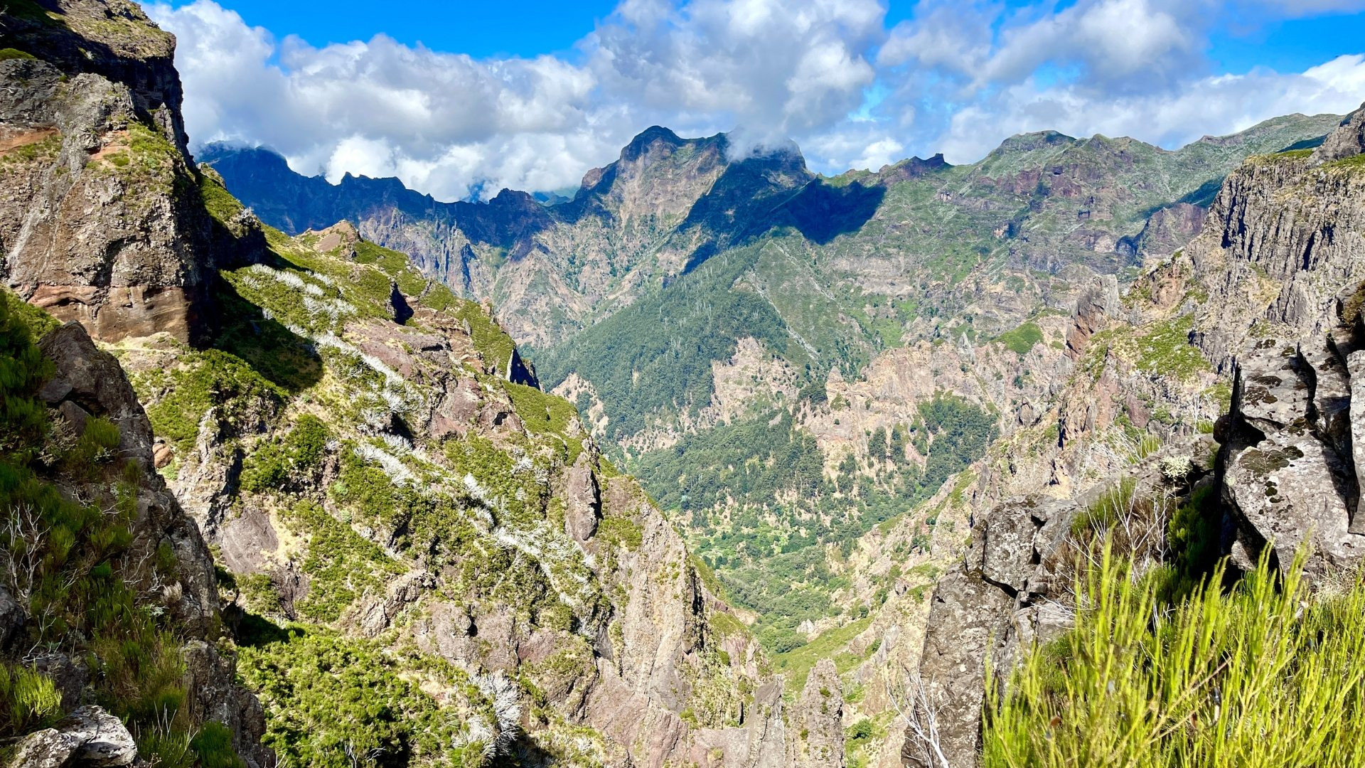 prtlp0001-pico-de-ariero