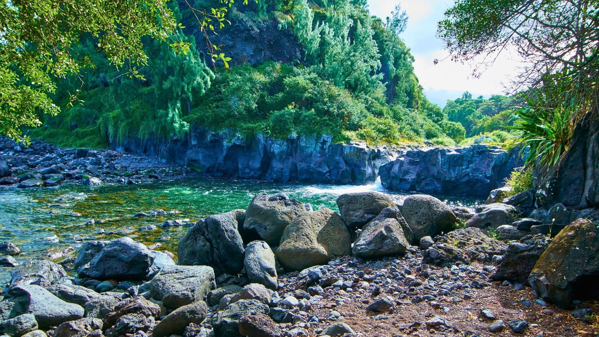 River and rocks in tropical forest - Reunion Island