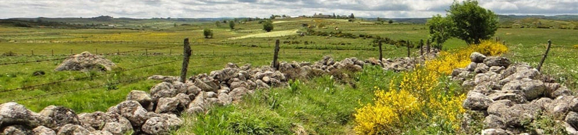 Walking Holidays in Aubrac - Massif Central