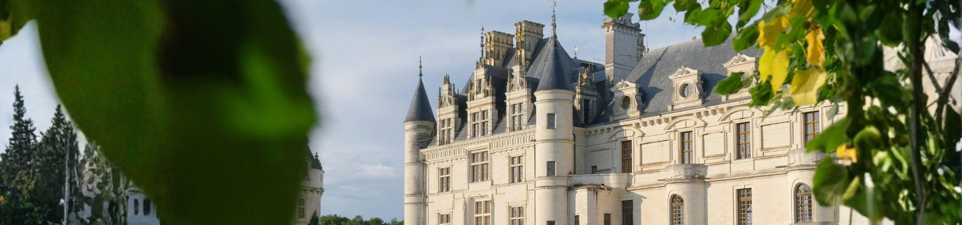 Renaissance château framed by foliage - Loire Valley - France
