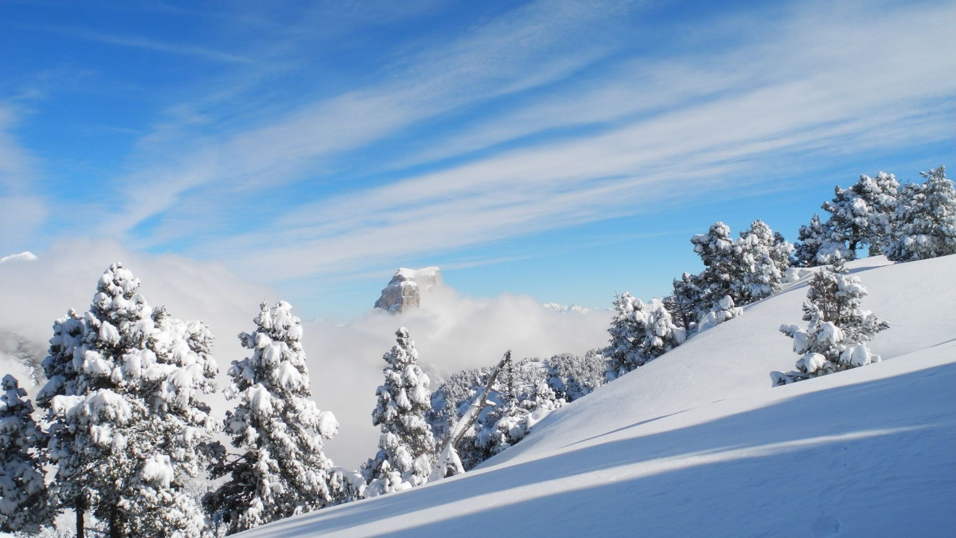 Mont Aiguille enneigé et sapins givrés - Vercors - France