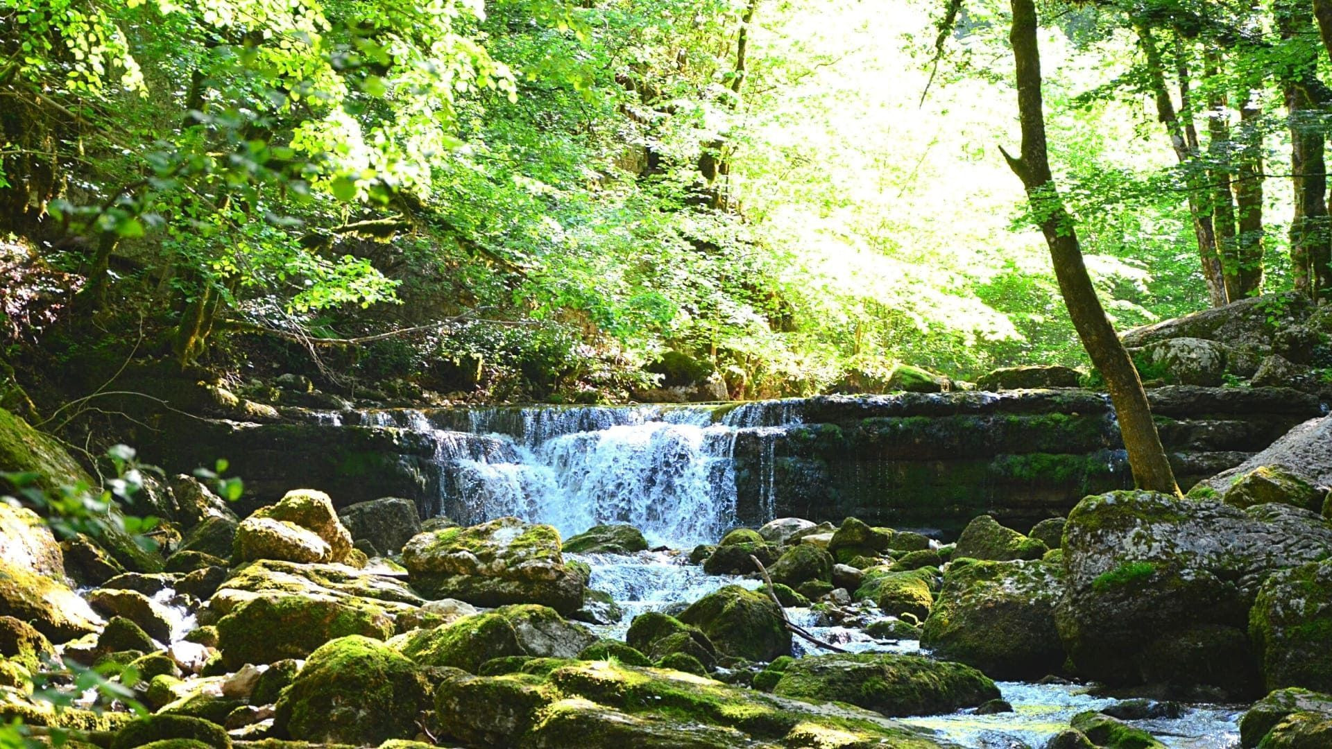© Quentin Vanaker River and waterfall in the Jura