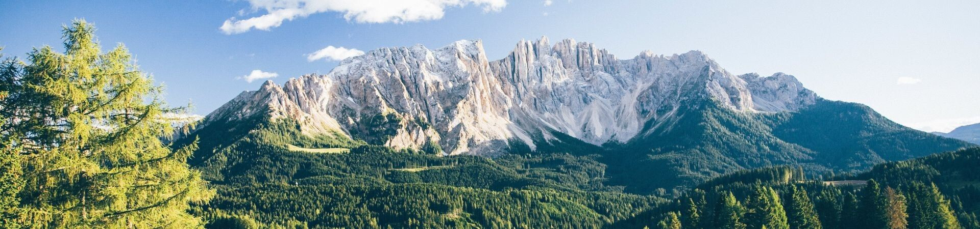 Rocky Dolomite peaks and conifer forests - Tyrol, Austria