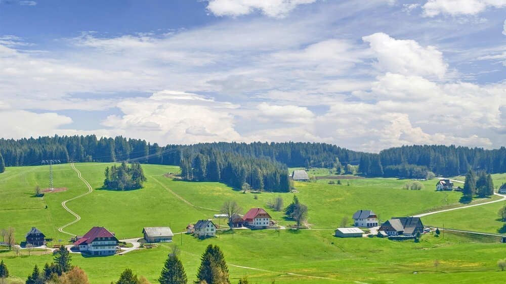 Rolling farmland and traditional farms - Black Forest - Germany