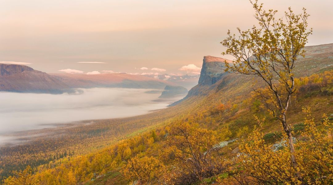 Sarek National Park
