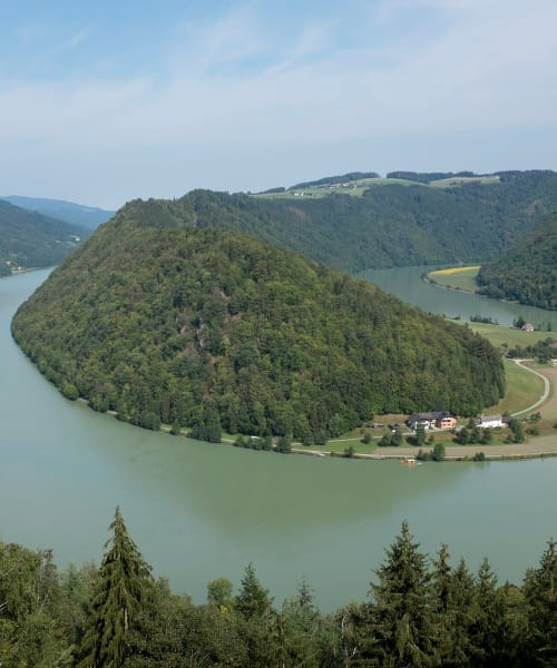 Horseshoe bend of the Danube at Schlögen - Austria