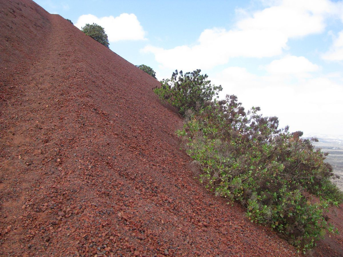 Caldera Colorada trail