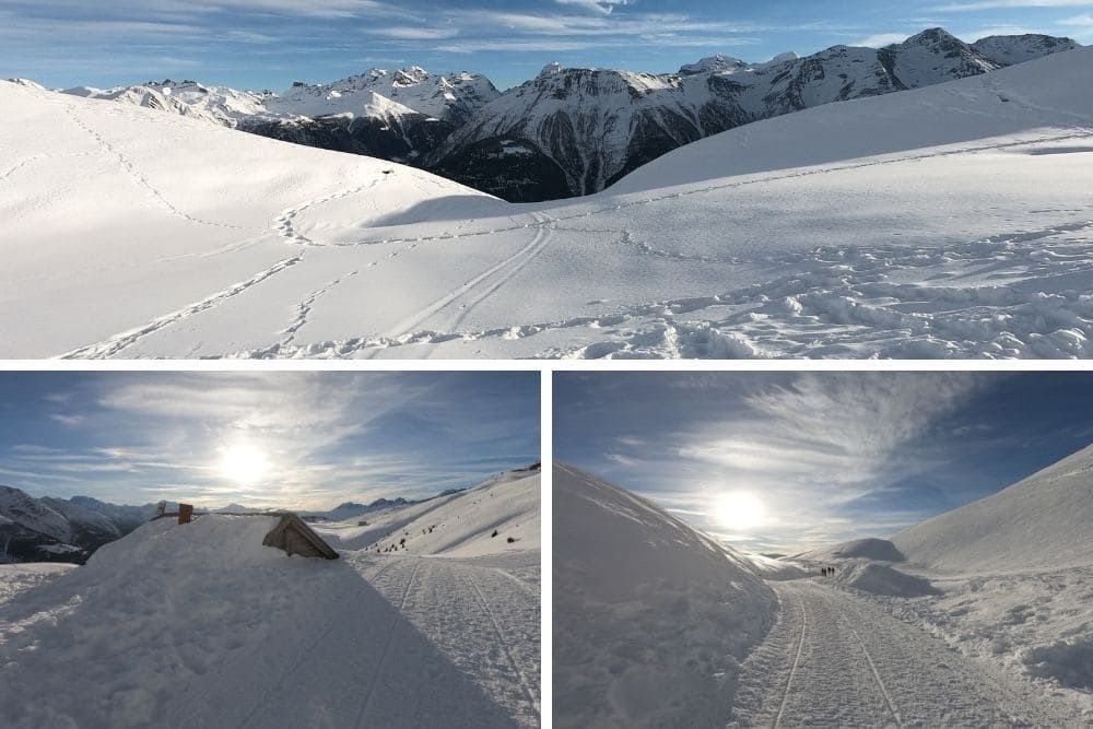 Trails and landscapes between Fiescheralp and Bettmeralp