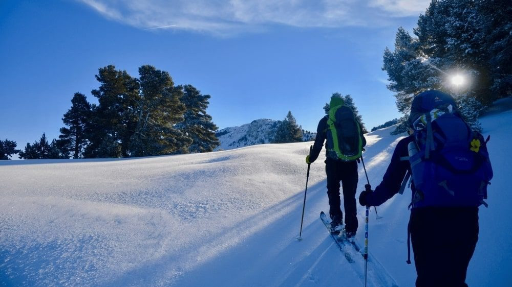 Skieurs de randonnée dans la forêt enneigée des Hauts Plateaux du Vercors