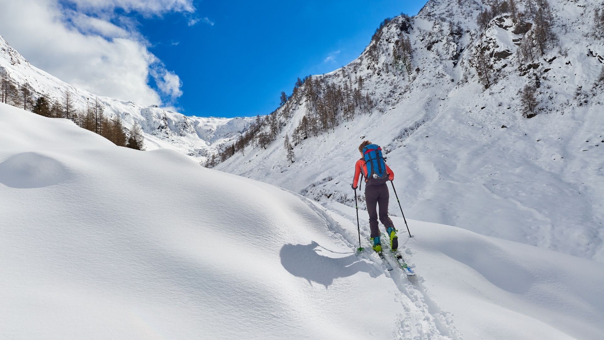 ski mountaineering, difference between all skiing types