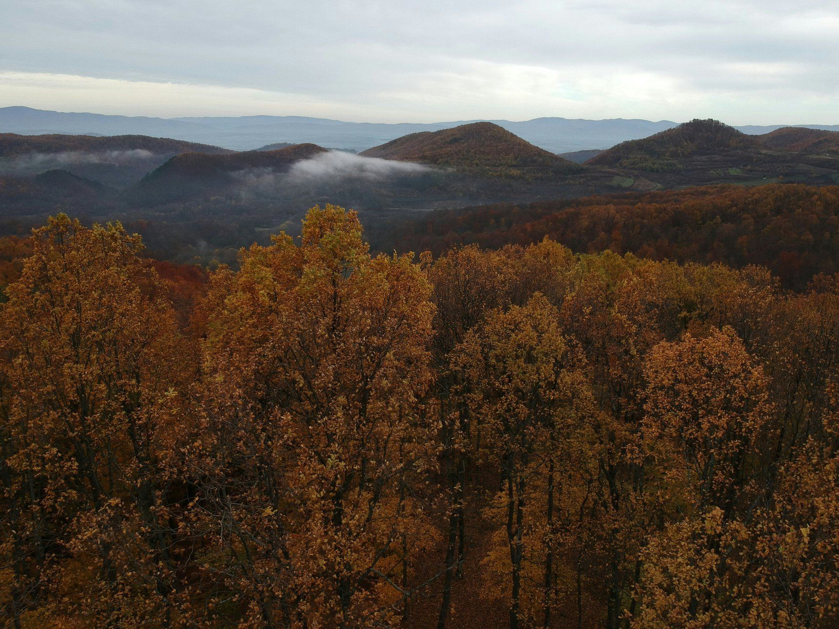 Slavonia