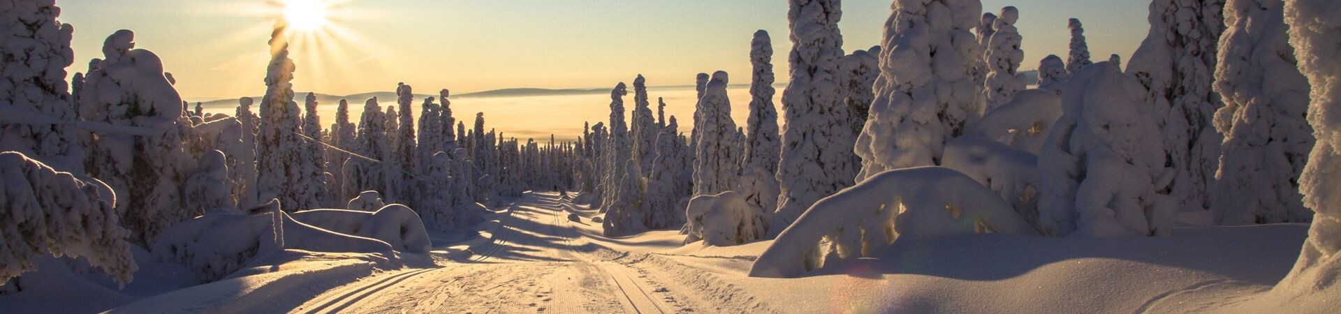Cross-country skiing and Nordic ski touring holidays in Lapland in 2026