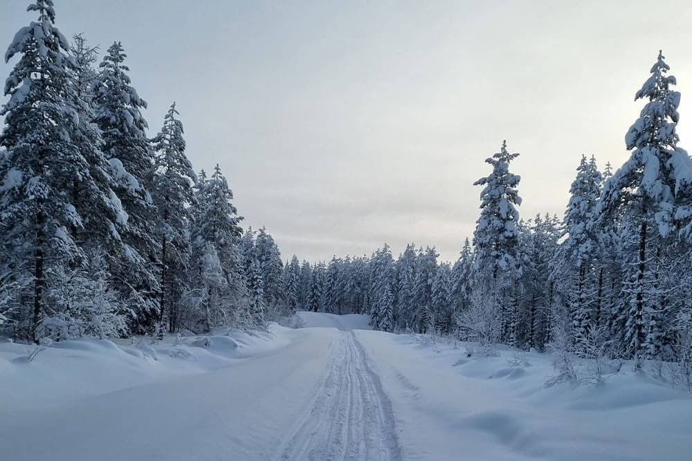 Hazy sky above the snow-covered Finnish forest