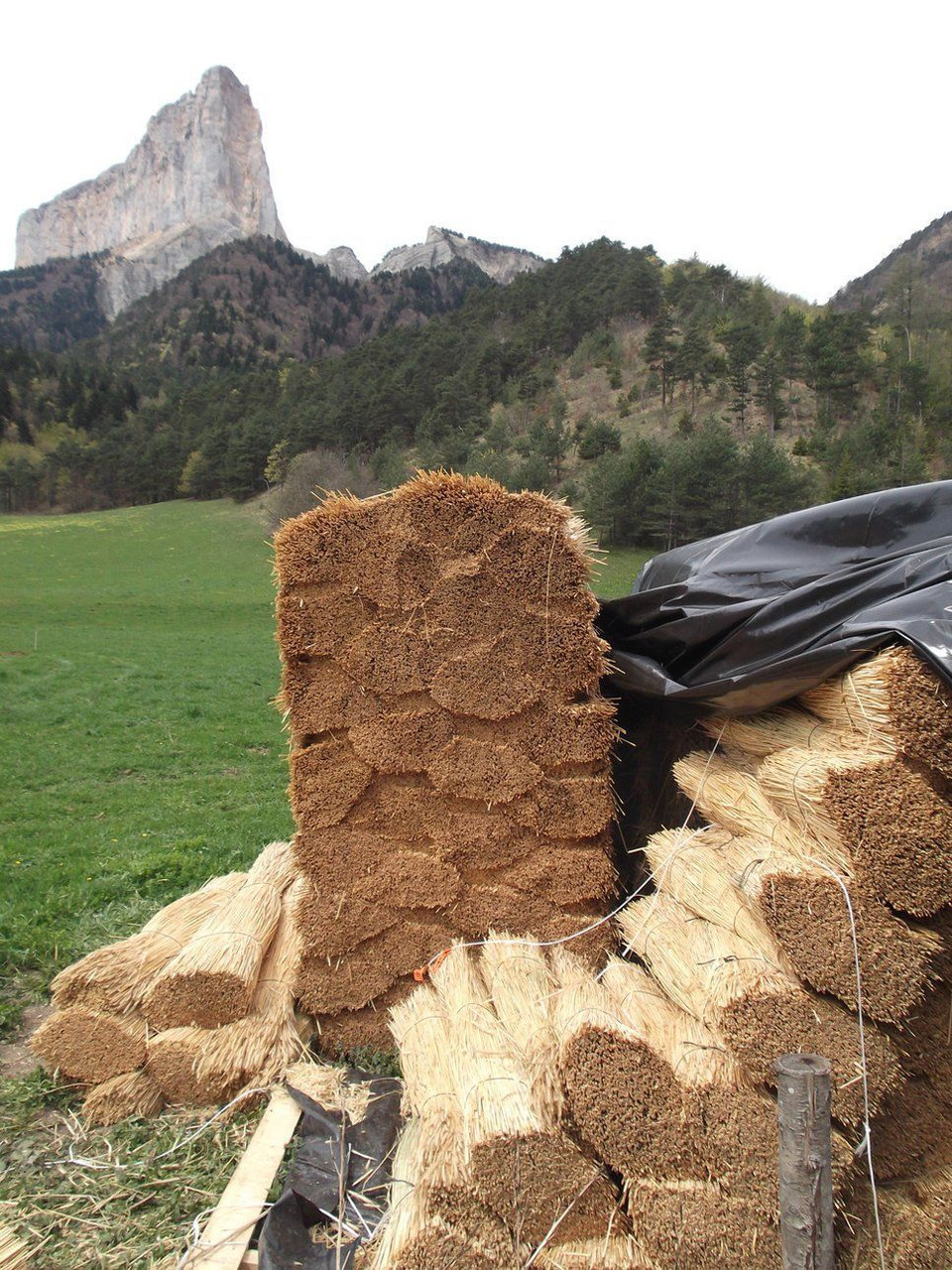 Bundles of straw @ Lionel Laurent