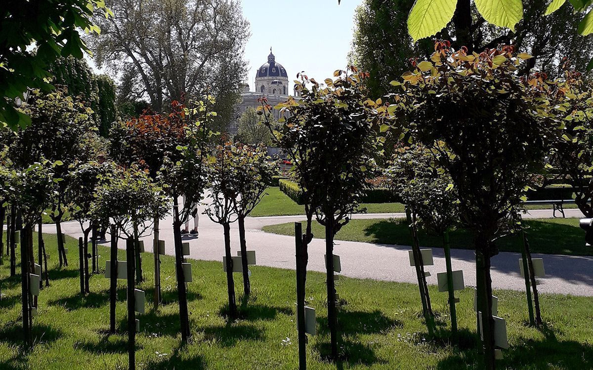 Stroll through the Volksgarten