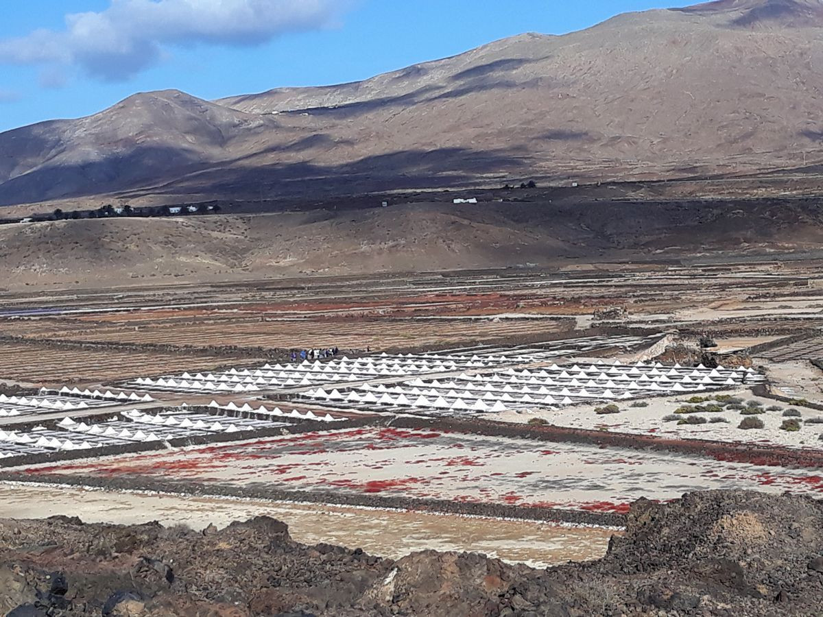 On the way back, we pass the Janubio salt pans. Beautiful rows of small white piles