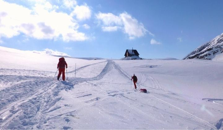 Nordic ski tourers with pulka toward a hut - Kungsleden - Lapland - Sweden
