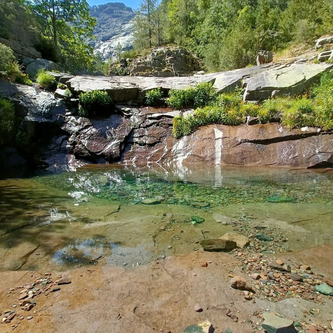A swimming break