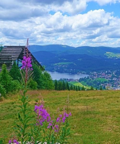 Titisee