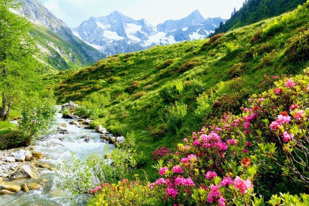 Stream in the Zillertal