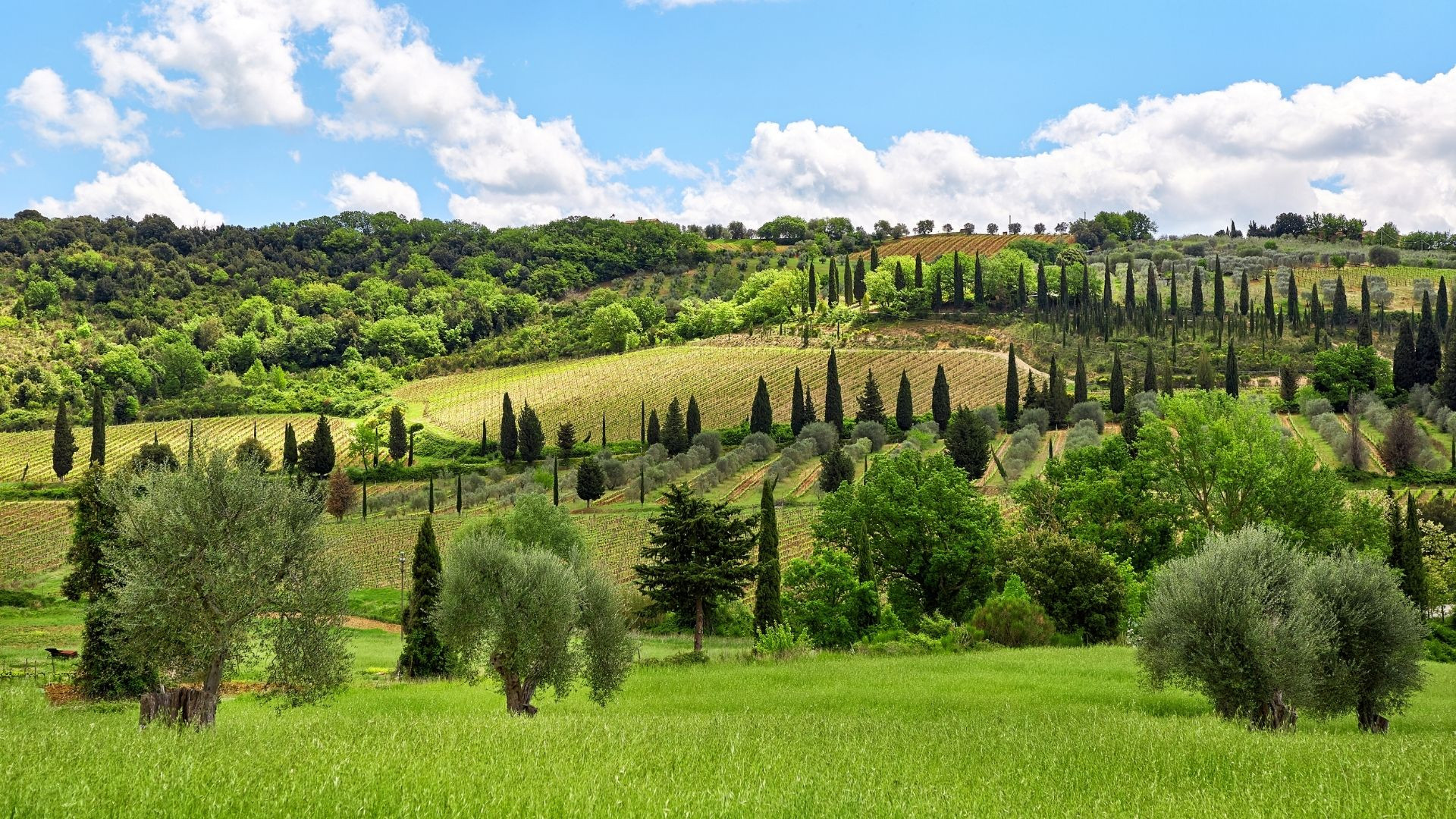 Tuscany: nature and cultural heritage