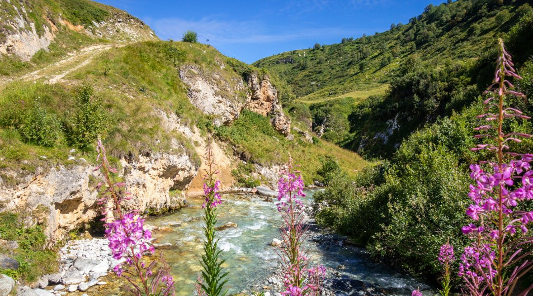 Vanoise Tour on Foot