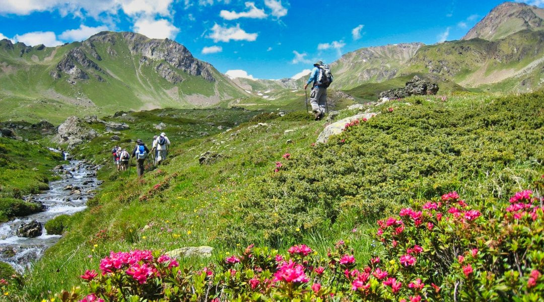 Gran Paradiso Tour