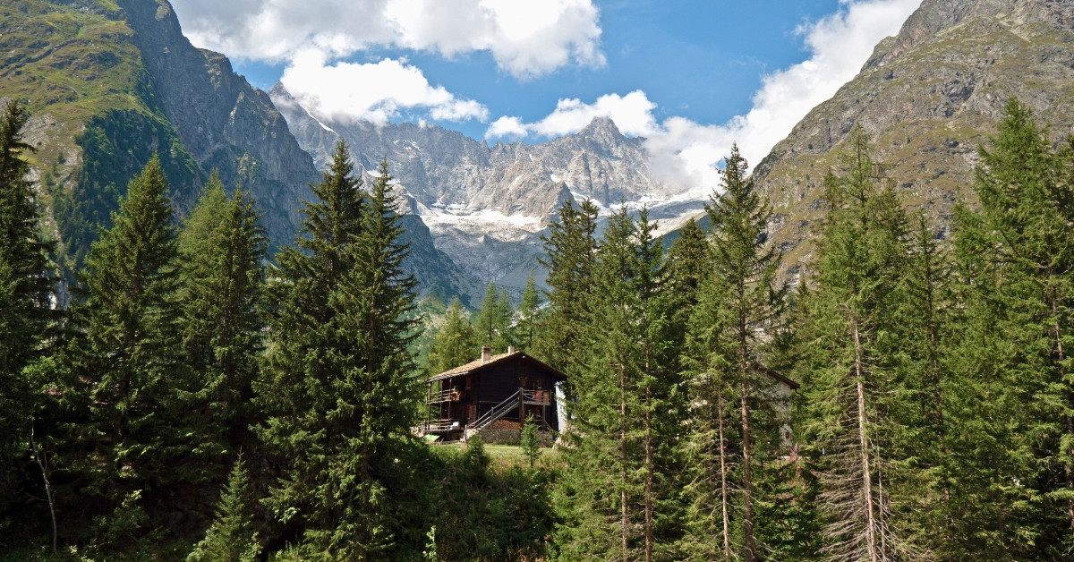 Forest mountain hut below the massif - Tour du Mont-Blanc - Val Ferret - Switzerland