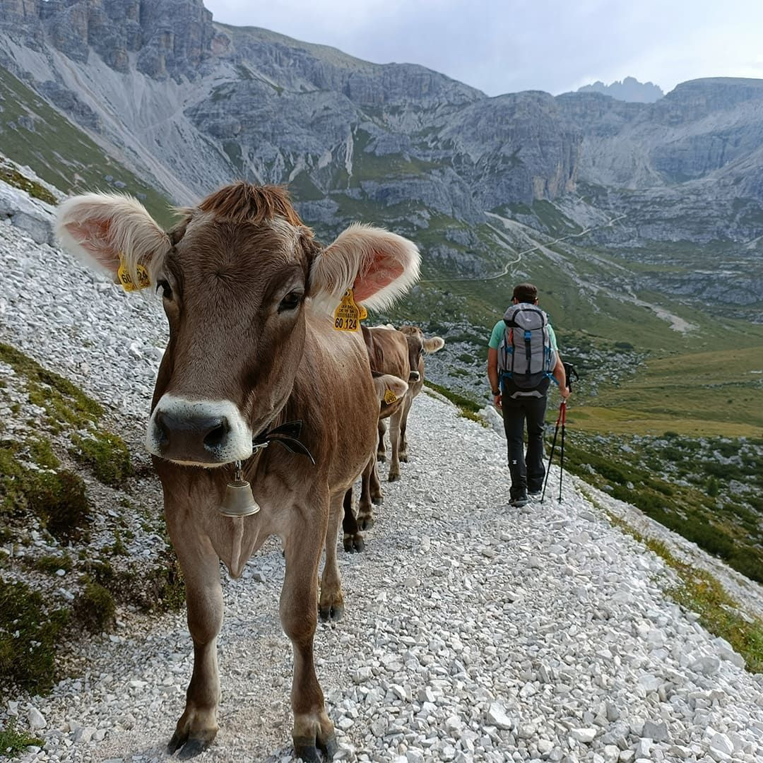 Around Monte Paterno - Dolomites © Giovanna Crippa