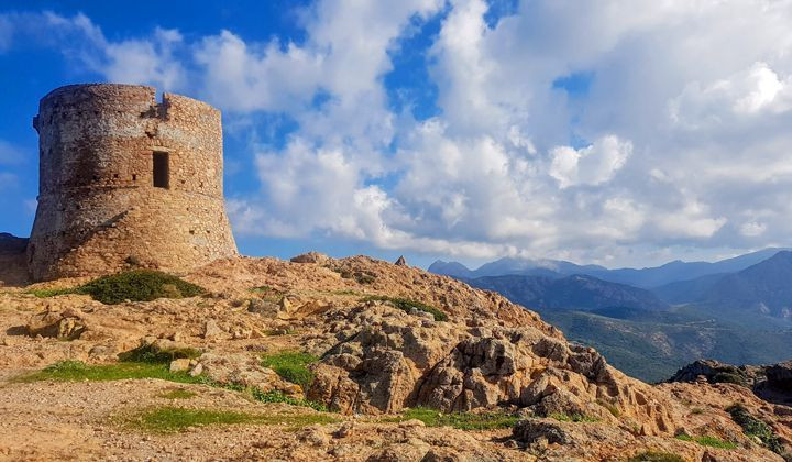 Genoese tower of Turghju on the rocky coast - Corsica - France