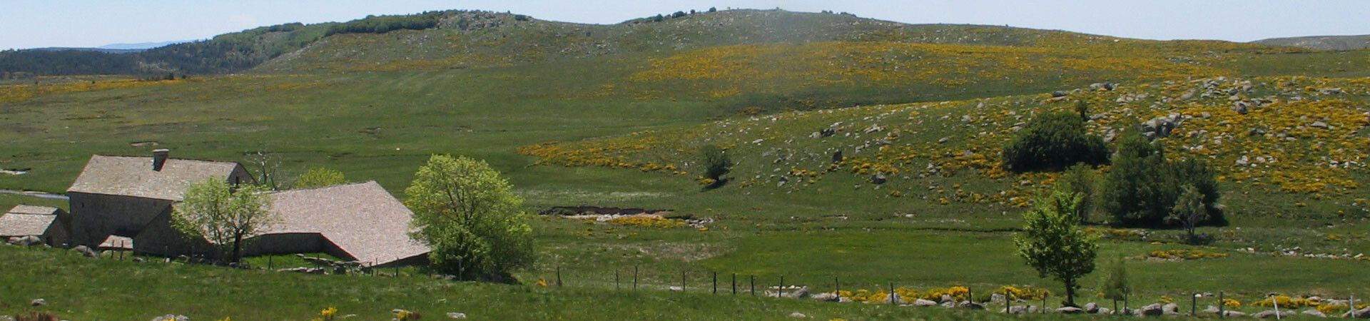 Treks and multi-day walking holidays in the Cévennes in 2026