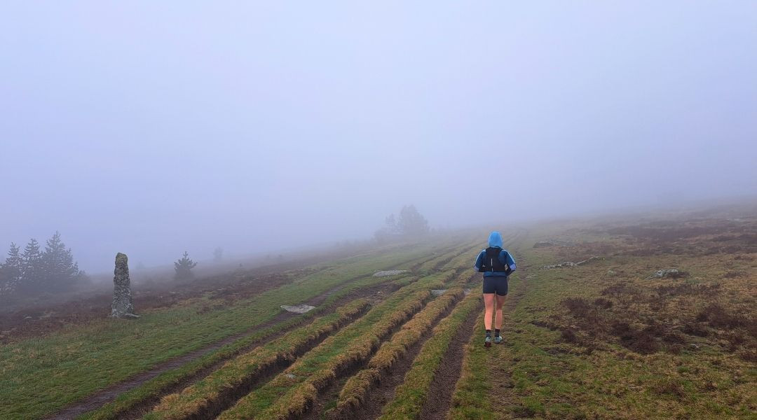 Day 2, fog