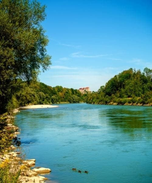 Turquoise Salzach river lined with trees - Austria