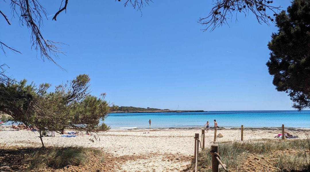 The beach