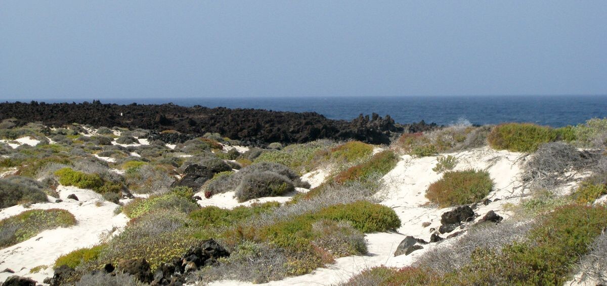 A little white sand in an ocean of black