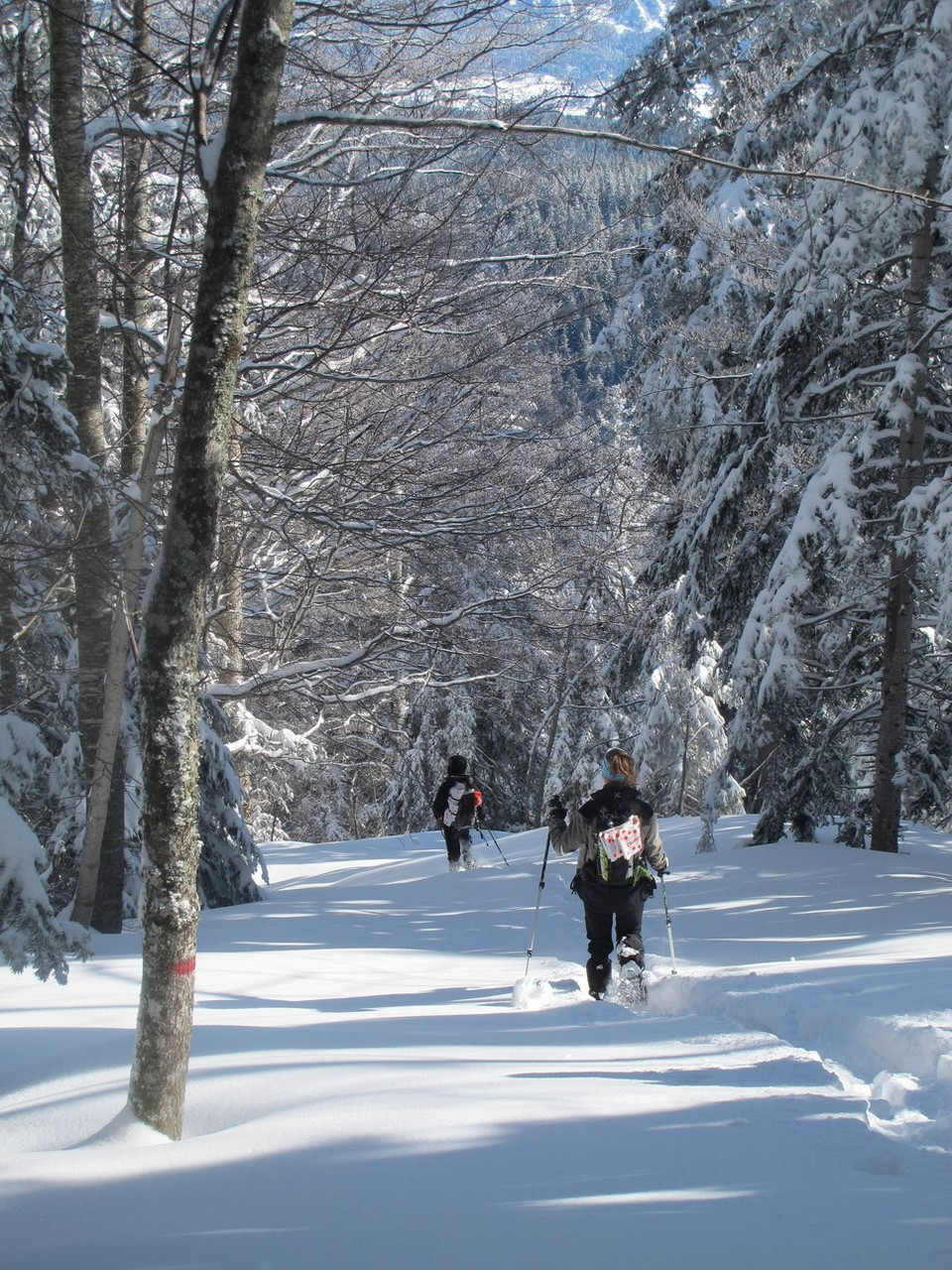Snow Holidays 2027: Trekking, Snowshoeing and Skiing - Guided Tours in the ❤️ of Europe