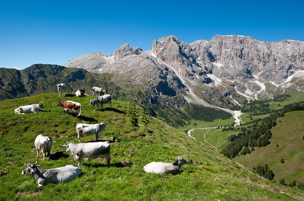 View of the Val Duron, with the Molignon rock formation on the right and the Croda del Lago on the left