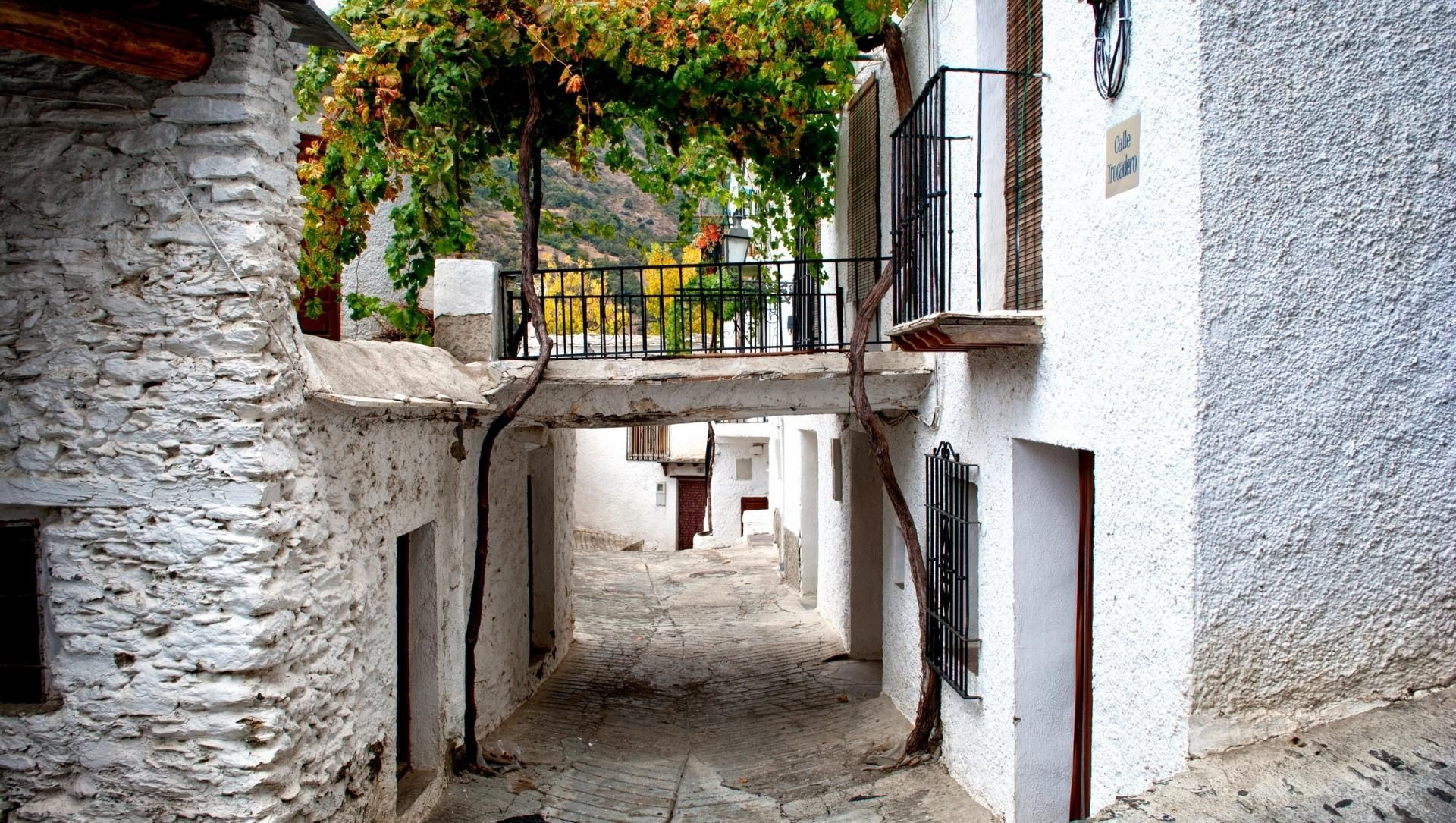 Alley in Capileira village - Alpujarras - Spain