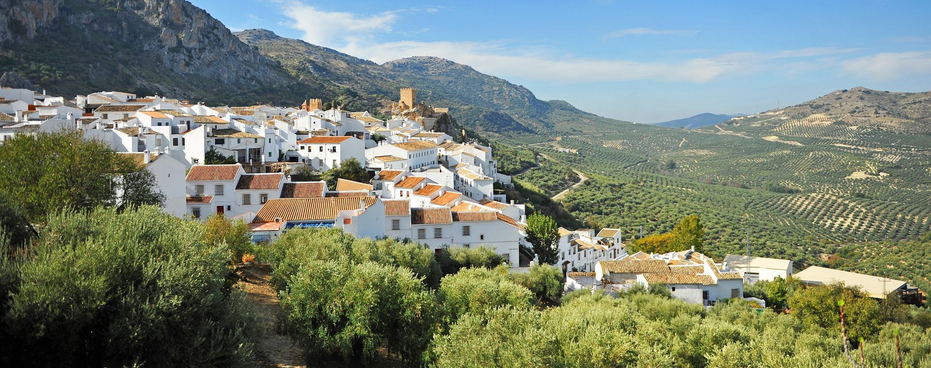 White village of Zuheros and olive groves - Andalusia - Spain