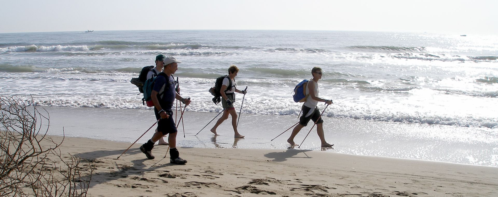 Nordic walking hikers on the beach - Camargue - France