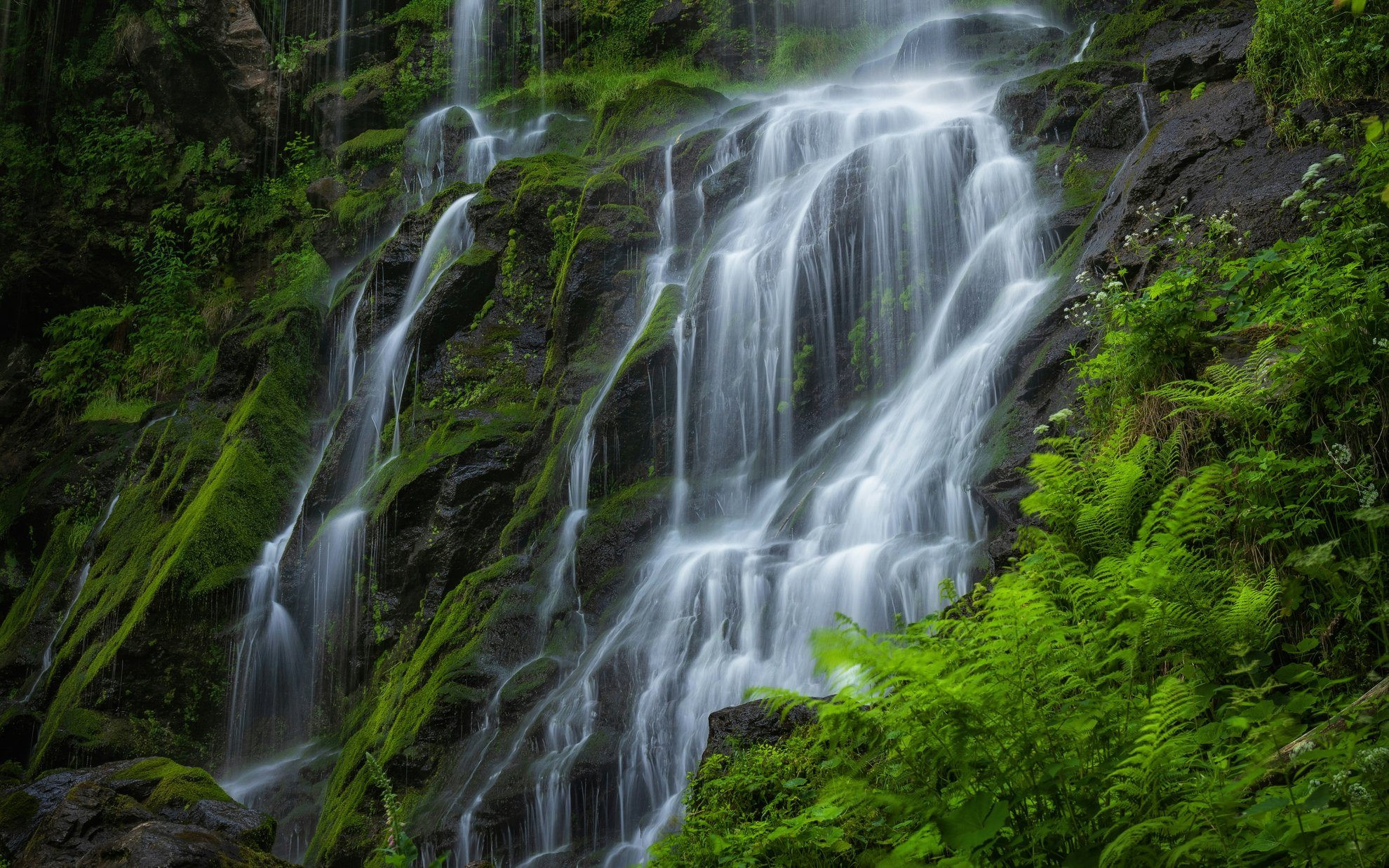 Waterfall in a mossy forest - Black Forest - Germany
