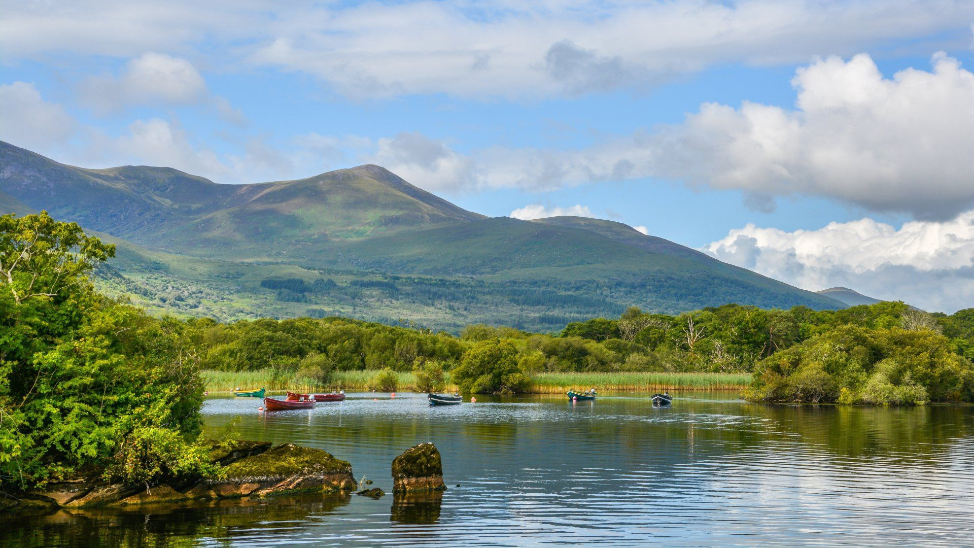 Lake and green mountains on the Ring of Kerry - Kerry - Ireland
