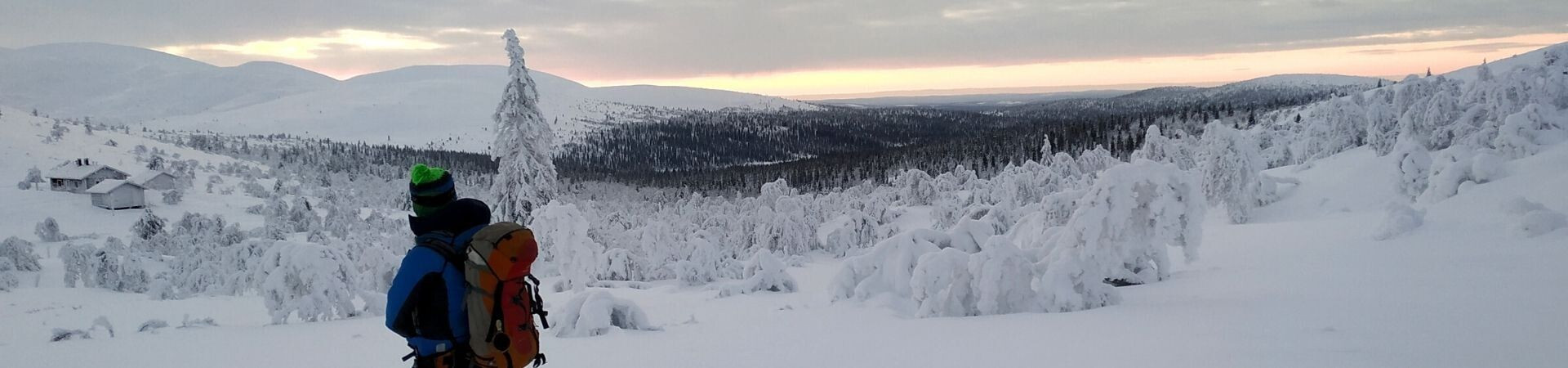 Winter hiker among snow-covered trees