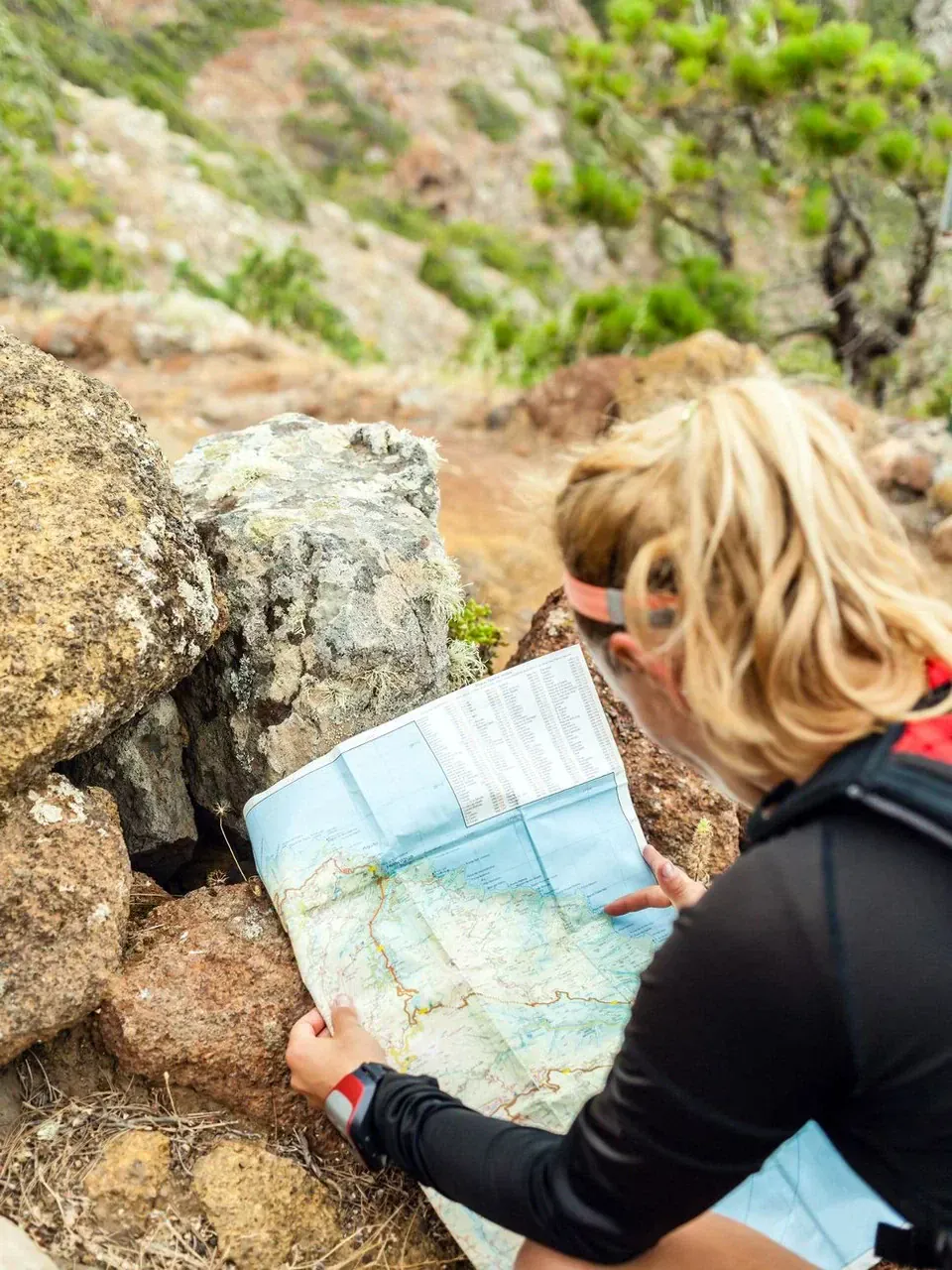 Tailor-made trips